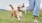 a person and a dog running on grass